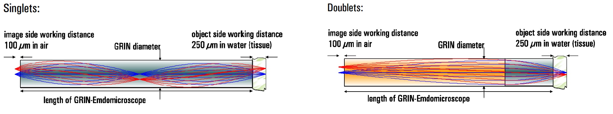 ニードルタイプ内視鏡用GRINレンズ（二光子顕微鏡用）