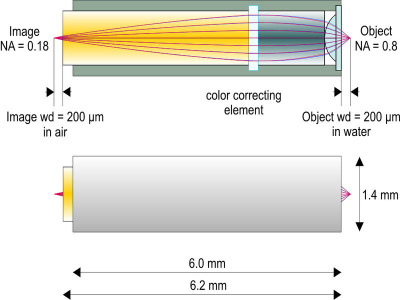 2光子励起顕微鏡用高NA対物レンズ（アクロマティック仕様）