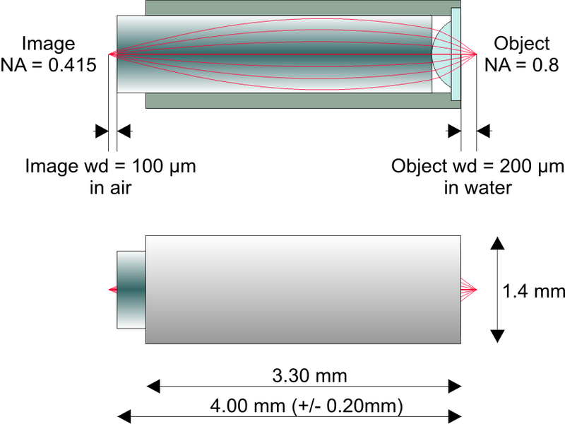 2光子励起顕微鏡用高NA対物レンズ